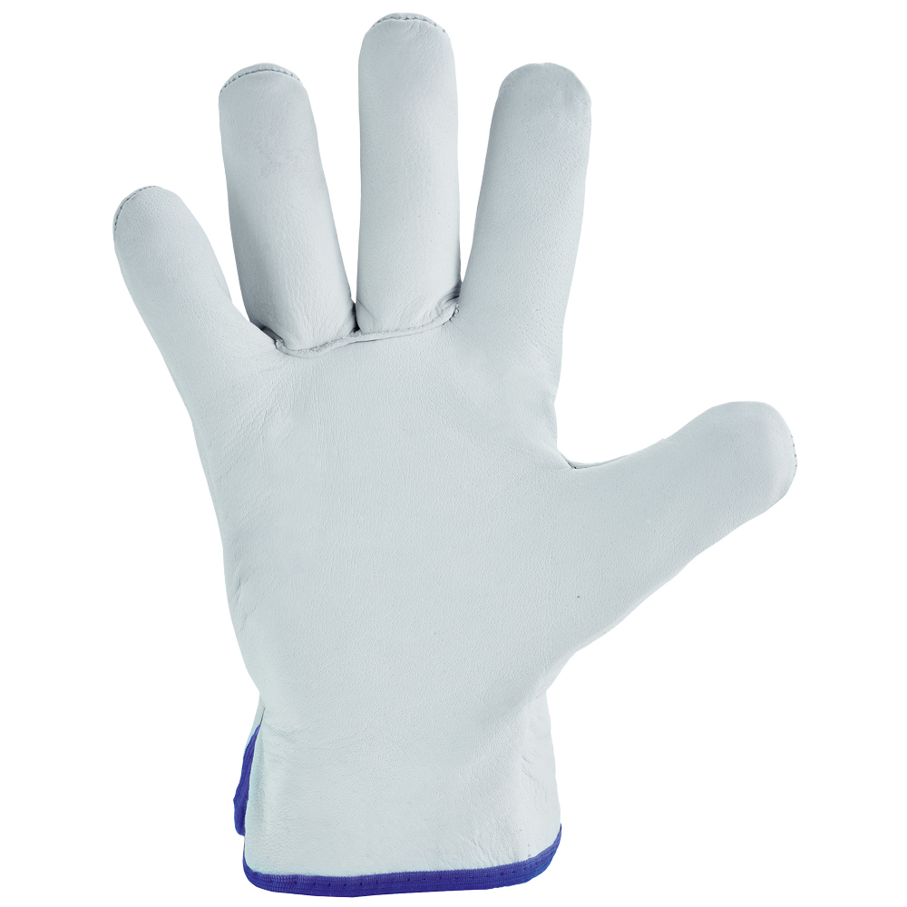 STD. SILVERSTONE Buffalo grain leather gloves