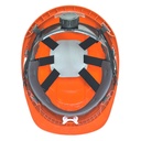 PW54 Endurance Plus Visor Helmet