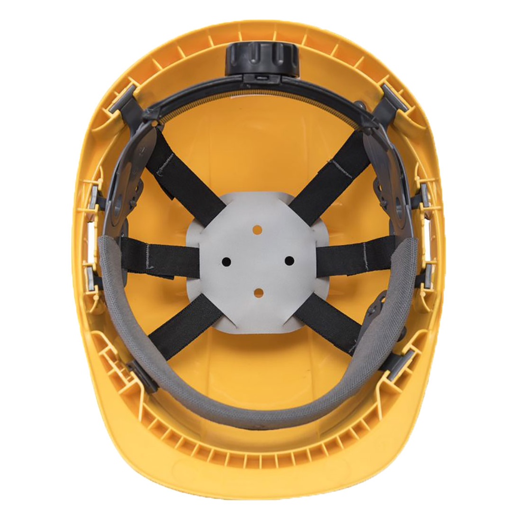 PW54 Endurance Plus Visor Helmet