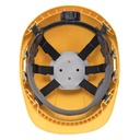 PW54 Endurance Plus Visor Helmet