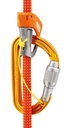 M39A Sm'D Very versatile, lightweight, compact, D-shaped locking carabiner