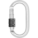 FA5010117B Ατσάλινο Βιδωτό Karabiner- Τύπος κλειδαριάς