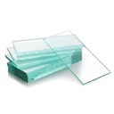 FLC110X55 Polycarbonate Lents