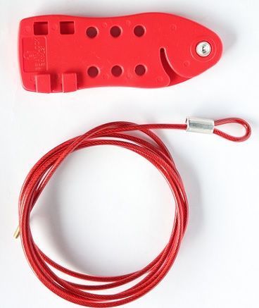 [L21] L21 Multi-purpose Fish-Shaped Cable Lockout