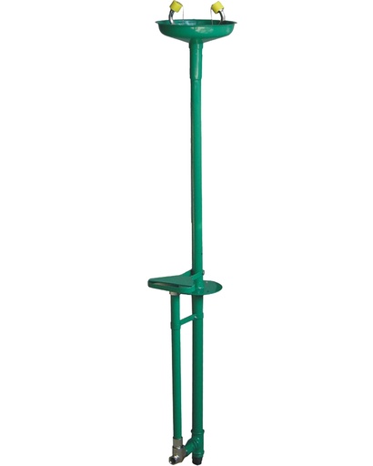 Freeze-Proof Eye/Face Wash, ISTEC Type EW, Pedestal Type, Hand Operated