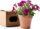 MC1000 VOLEN Flowerpot with petunia seeds