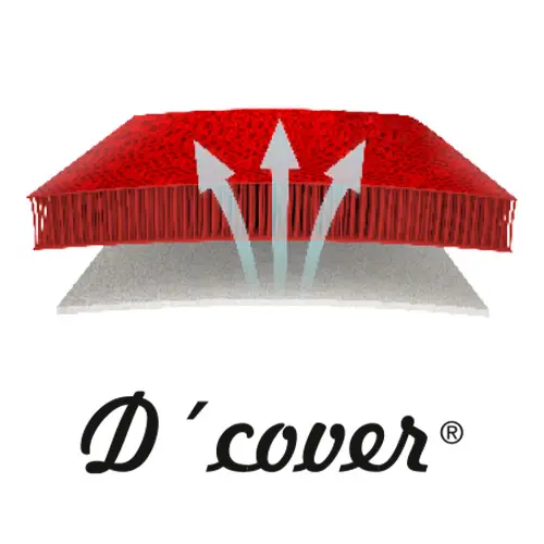 dian-dcover.webp