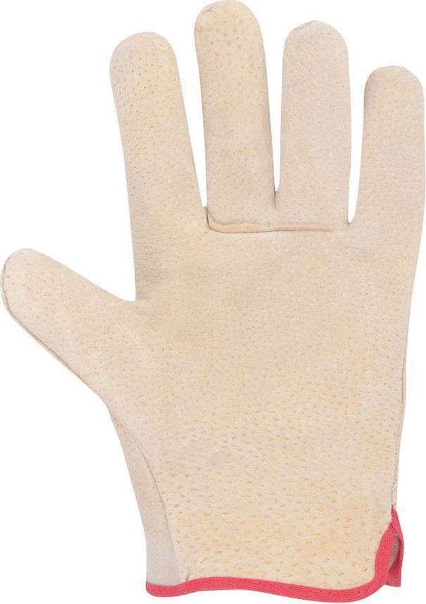 A2003 PETE Leather Gloves