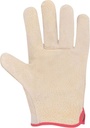 A2003 PETE Leather Gloves