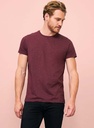 00553 REGENT FIT T-Shirt Jersey 100% Cotton