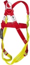 FP10 2 Point Plus Harness