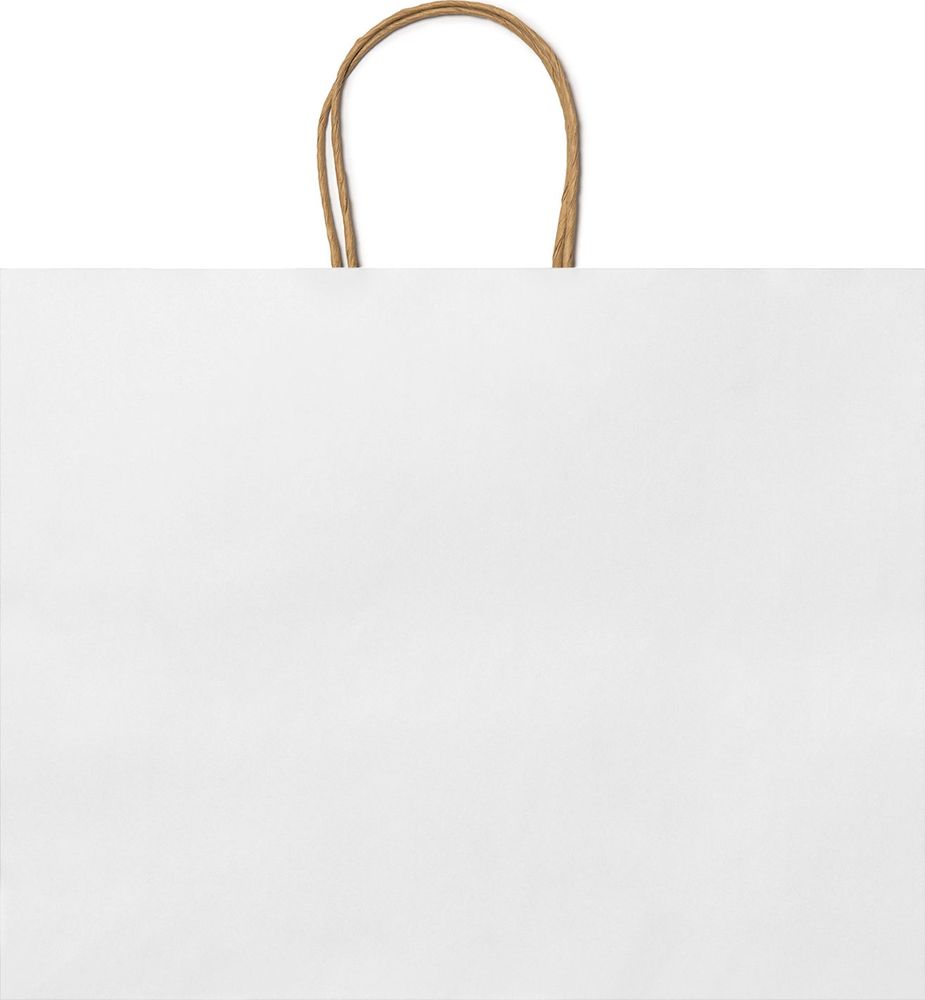 BO7541 MAPLE Bag