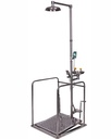 Combined Unit, ISTEC Type ESW, with Railing, Shower Platform/O & Eyewash Hand/O