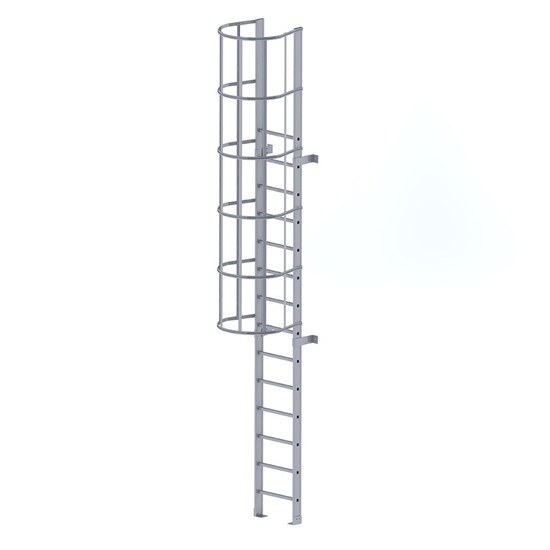 Cage Ladders