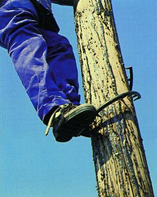 G21 Pole Climbers for wooden poles
