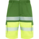 HV9328 LADA Shorts