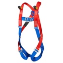 FP13 2 Point Harness
