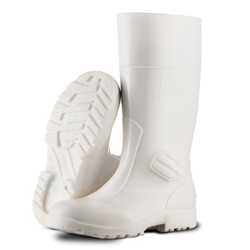 [M303] M303 Segur Foca Chemical Safety Wellington SB CI E FO SRC